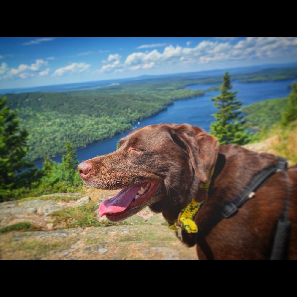 Meet your Posher, Marilisa